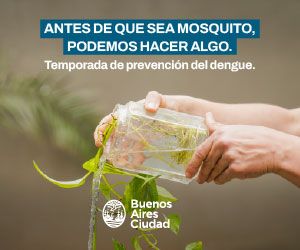 banner - Cómo prevenir el dengue
